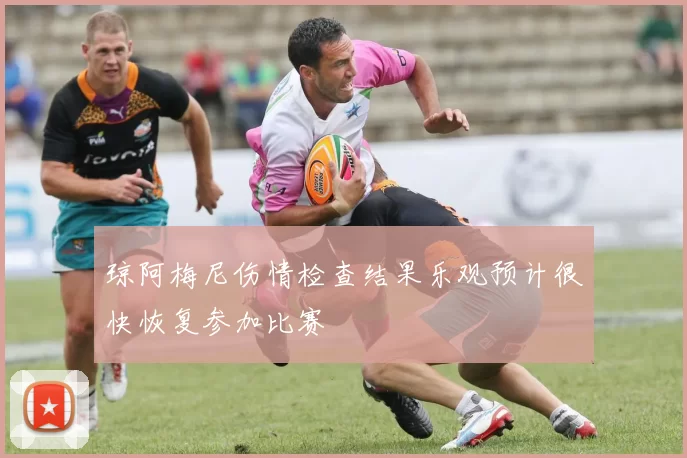 琼阿梅尼伤情检查结果乐观预计很快恢复参加比赛